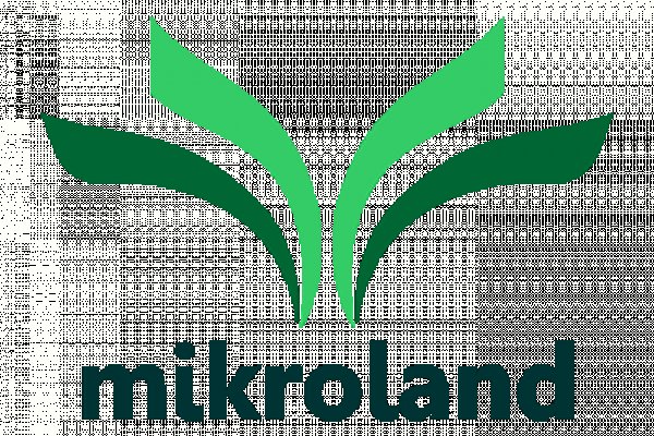 Как вывести деньги с кракена