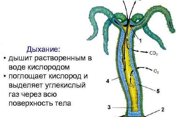 Зайти на кракен рабочее зеркало