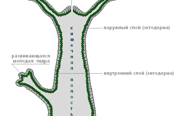Кракен ссылка vtor