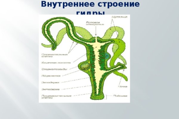 Оригинальная ссылка на кракен